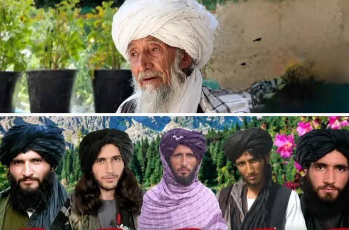 د پنځو وژل شویو طالب جنګیالیو ړوند شوی پلار په بېوزلۍ کې ومړ