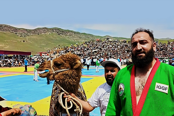 مسئولان ورزش تاجیکستان به کشتیگیران پیروز افغانستان شتر و گوساله جایزه دادند