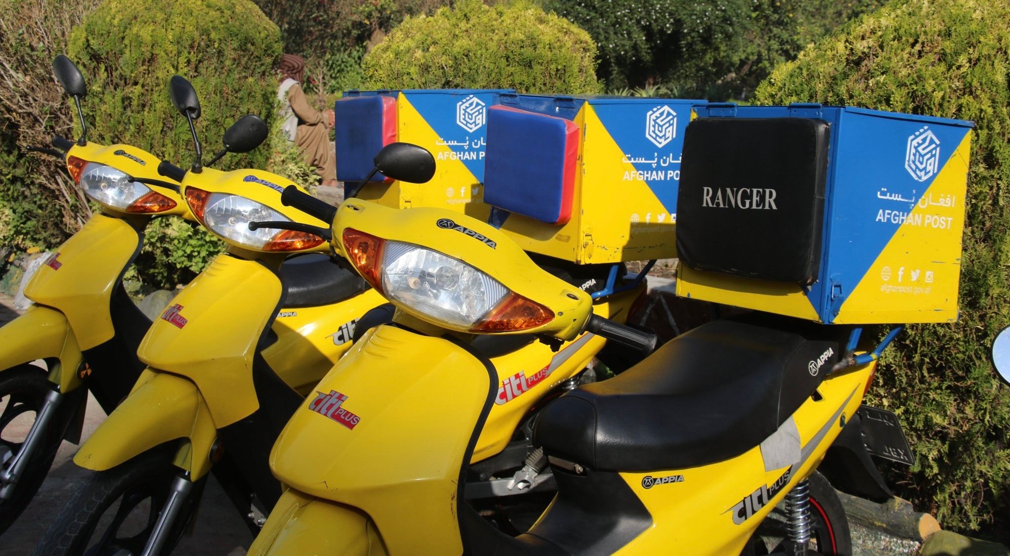 د طالبانو افغان پوسټ ننګرهار کې تر کورونو د پاسپورټ رسولو بهیر پیل کړ