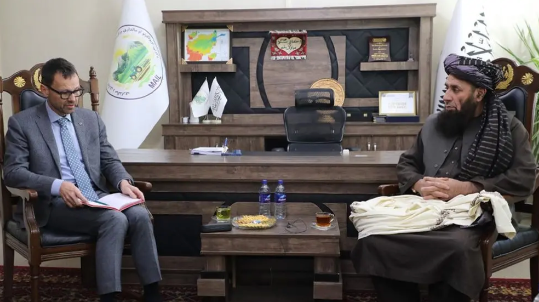 طالبانو غواړي چې له افغانستان سره د اروپا د مرستو د لګولو څرنګوالی روښانه کړي