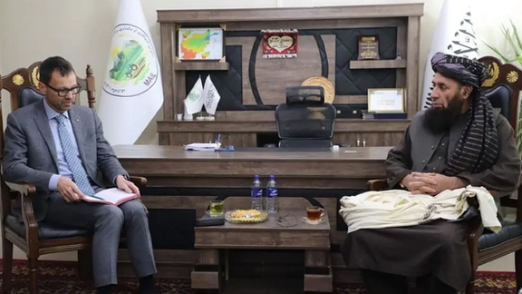 طالبانو غواړي چې له افغانستان سره د اروپا د مرستو د لګولو څرنګوالی روښانه کړي