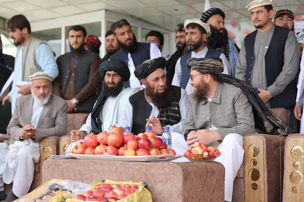 د بزګر مېله؛ د طالبانو د کرنې وزیر روان کال د افغانستان د ځانبسیاینې کال وباله