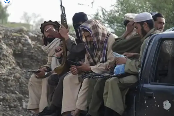 Afghan Taliban Detains TTP Members, Pakistani Media Reports