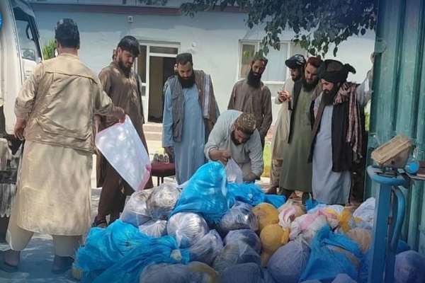 طالبان از کشف و ضبط هزار و ۵۰۰ کیلوگرام تریاک در تخار خبر داد