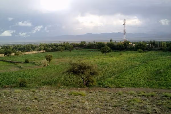 طالبانو په خوست کې څه باندې ۱۲ زره جریبه ځمکه دولتي اعلان کړې