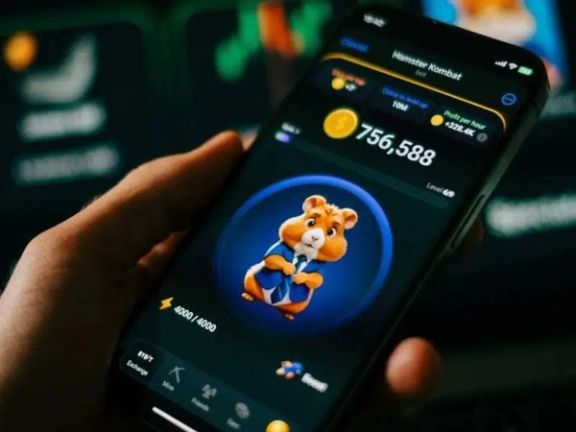 بیم و امید همستر کامبت؛ از رویای پولدار شدن تا هشدار کارشناسان درباره حفظ حریم شخصی