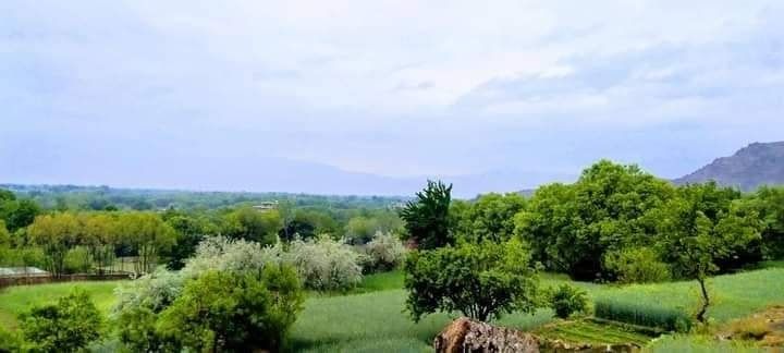 قتل جوانی در کاپیسا؛ طالبان گفتند 'رویداد جنایی' بود، ولی منابع محلی گفتند 'طالبان کشتند'