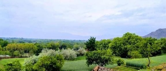 قتل جوانی در کاپیسا؛ طالبان گفتند 'رویداد جنایی' بود، ولی منابع محلی گفتند 'طالبان کشتند'