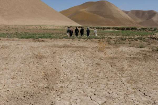 اوزبیکستان بیش از ۲۰ تُن بذر کشاورزی به افغانستان کمک کرد