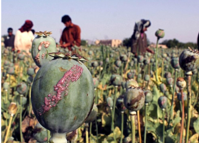 کشورهای مستقل‌ مشترک‌المنافع: قاچاق مواد مخدر از افغانستان به منطقه همچنان ادامه دارد