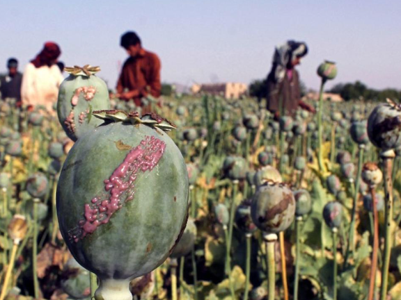 کشورهای مستقل مشترکالمنافع: قاچاق مواد مخدر از افغانستان به منطقه همچنان ادامه دارد