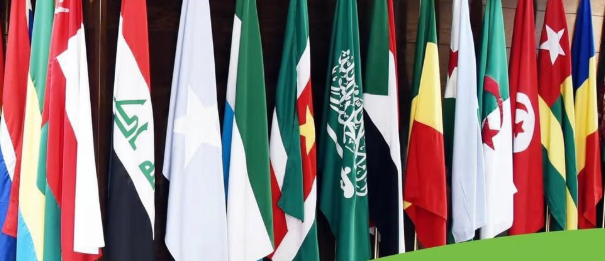 باکستان تدعو نساء أفغانيات للمشاركة في اجتماع منظمة التعاون الإسلامي
