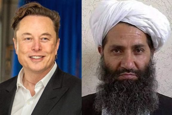 د طالبانو یو شمېر چارواکي د «سټارلېنک» له لارې انټرنېټ ته لاسرسی لري