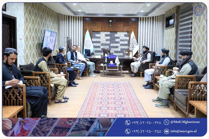 طالبان: یو چینایي شرکت د ډبرو سکرو له لارې د برېښنا تولید برخه کې د پانګونې لېوالتیا لري