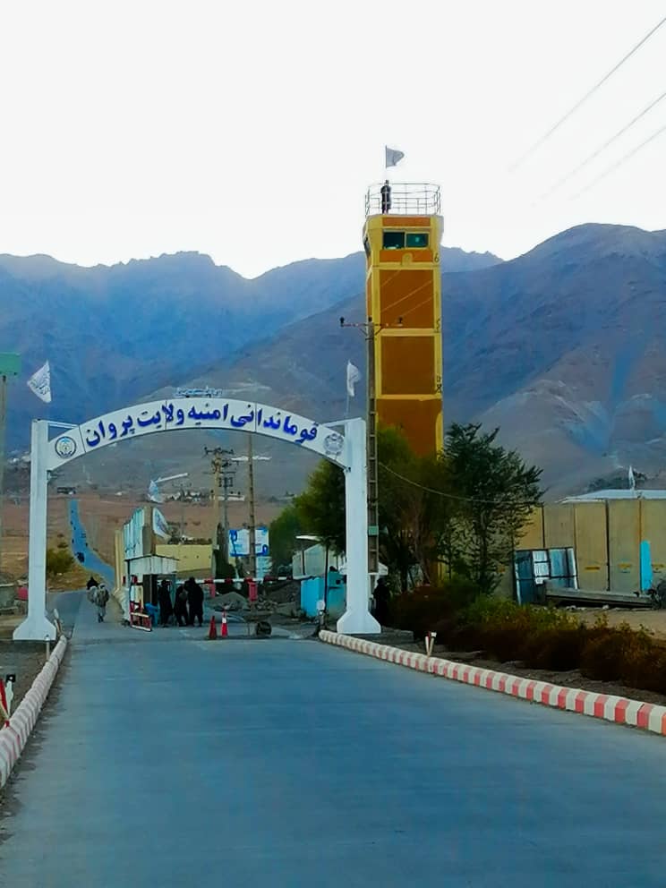 د دوو ښځو په ګډون ۸ کسان په پروان کې د نشه‌يي توکو د کاروبار او ۳ غله په غور کې ونیول شول