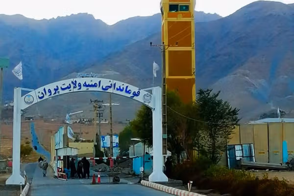 د دوو ښځو په ګډون ۸ کسان په پروان کې د نشهيي توکو د کاروبار او ۳ غله په غور کې ونیول شول