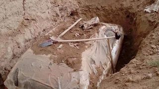 طنز سیاسی؛ زندگینامه موتر مبارک ملا عمر