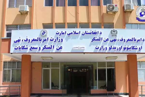 طالبان وايي په بلخ او غور ولایتونو کې یې دوه کوډګر نیولي