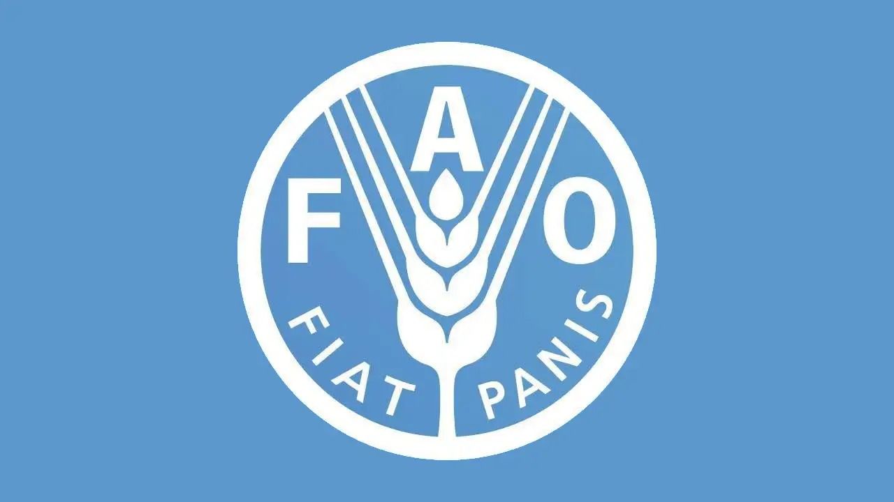 ملګري ملتونه: دا مهال شاوخوا ۱۳.۸ مېلیونه افغانان د خوړو ناامنۍ سره مخ دي