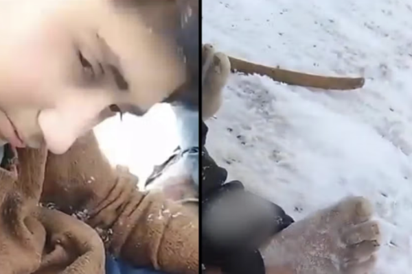 معجزة نجاة طفل أفغاني من الموت على الحدود الإيرانية التركية