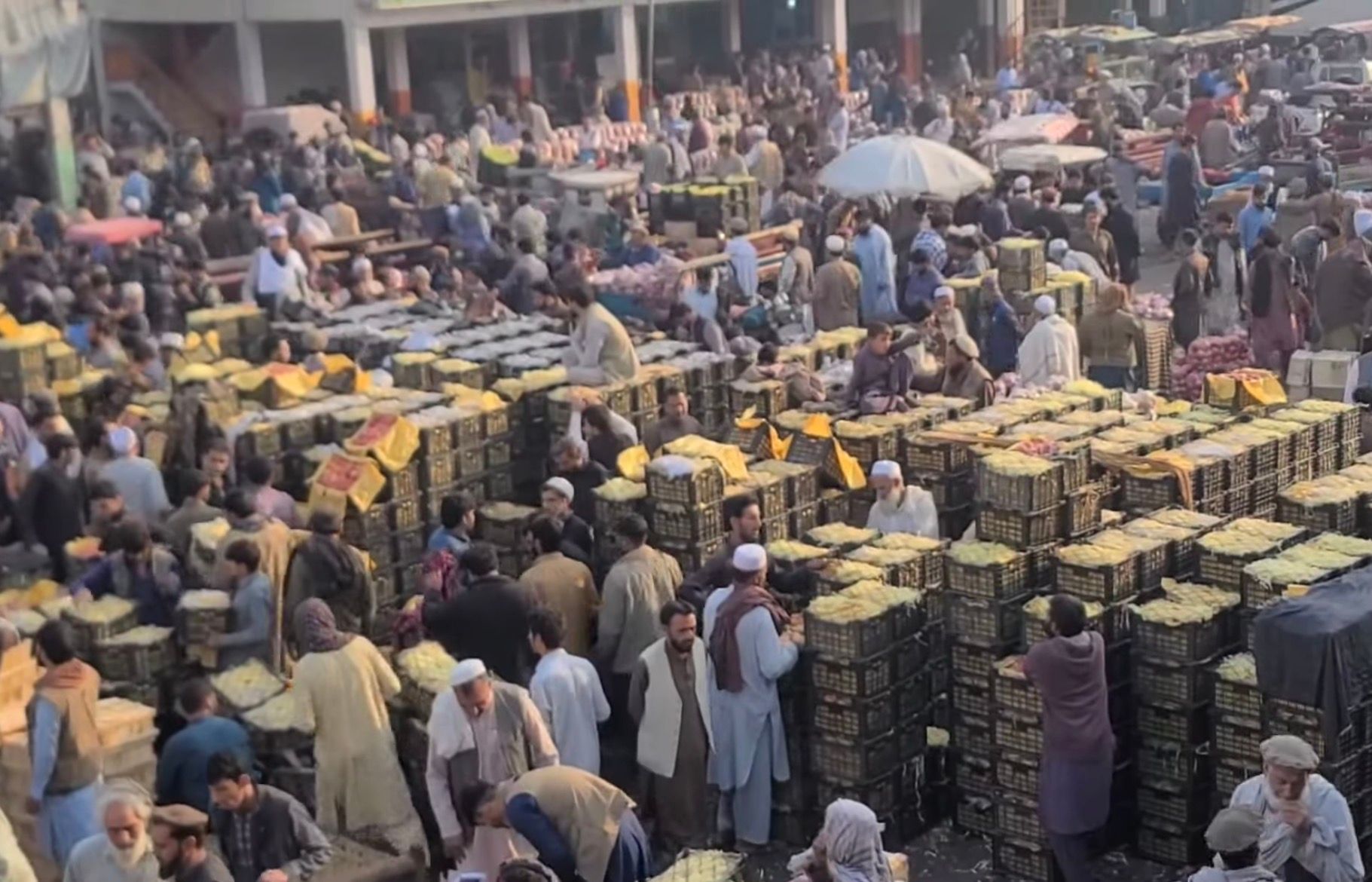 افغانستان ته د تورخم له لارې د پاکستانۍ مالټو، امروتو او کېلو قاچاق روان دی