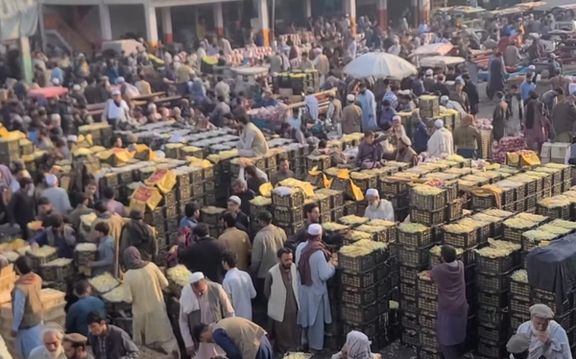 افغانستان ته د تورخم له لارې د پاکستانۍ مالټو، امروتو او کېلو قاچاق روان دی