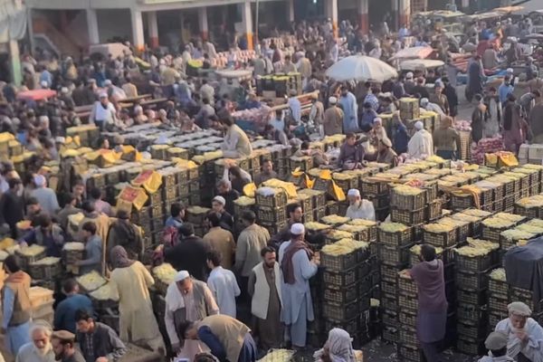 افغانستان ته د تورخم له لارې د پاکستانۍ مالټو، امروتو او کېلو قاچاق روان دی