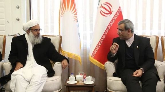 ایرانی چارواکی: هڅه کوو چې د دوغارون-اسلامکلا ګمرک په سیمه کې ترټولو غوره ګمرګ وګرځوو