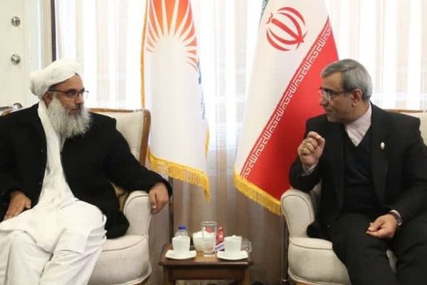 ایرانی چارواکی: هڅه کوو چې د دوغارون-اسلامکلا ګمرک په سیمه کې ترټولو غوره ګمرګ وګرځوو