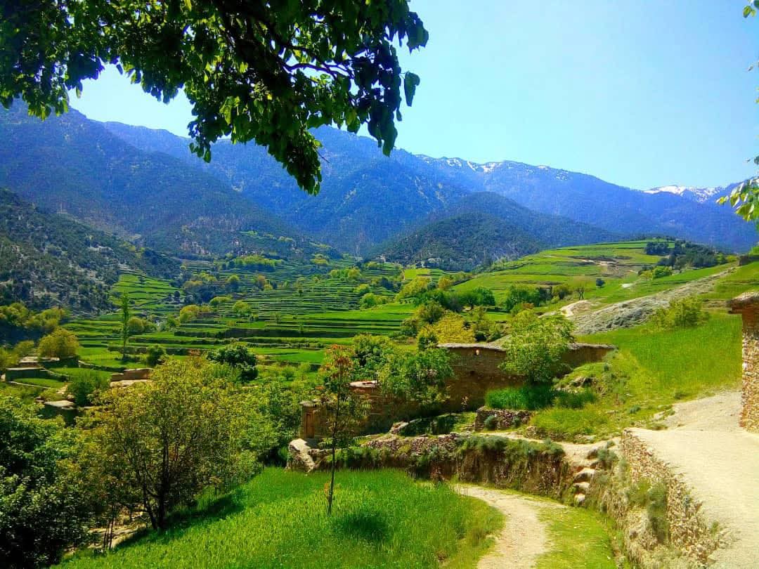 په کونړ کې د ناچاوده مرمۍ د چاودنې له امله دوه ماشومان ټپیان شوي