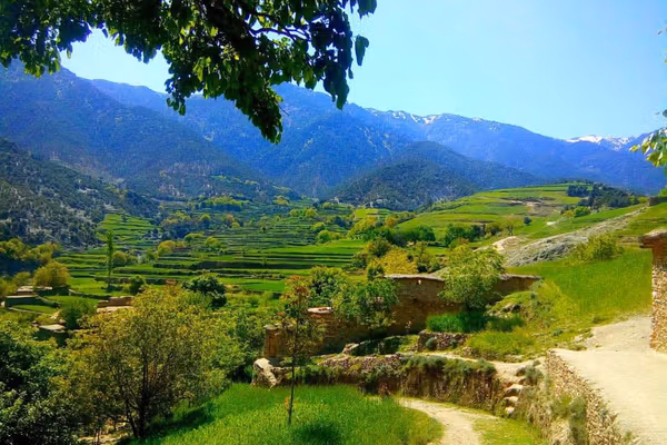 په کونړ کې د ناچاوده مرمۍ د چاودنې له امله دوه ماشومان ټپیان شوي