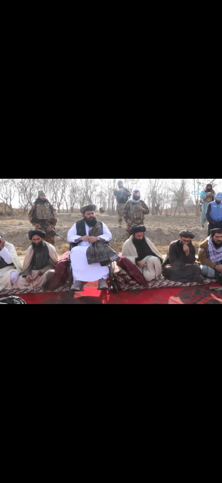 محمد یونس مخلص، مشاور سراج‌الدین حقانی در جرگه عفو حنظله