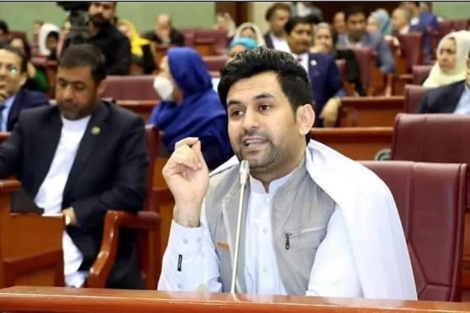 عضو برلمان سابق: مسؤولية سقوط النظام السابق لا تقع على أشرف غني وحده