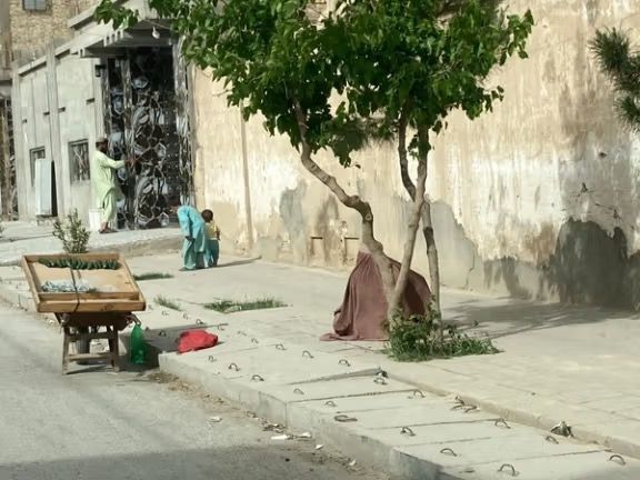 گدایی ده‌ها زن در شهر قندهار، مرکز سیاسی طالبان