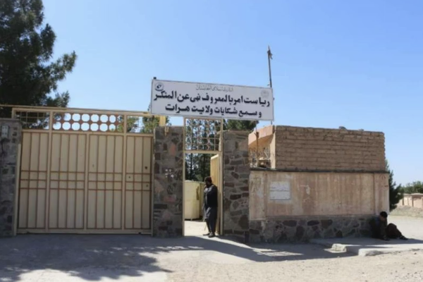 طالبان تعتقل صرافين وبائعي الذهب في هرات بسبب "شكل اللحية"