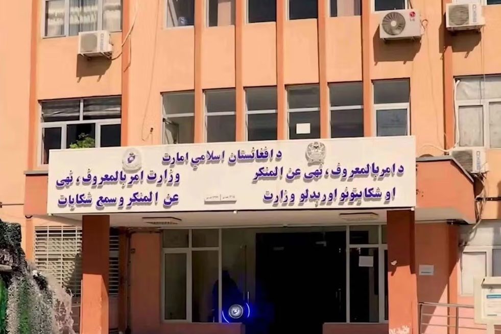 طالبانو په پروان او فاریاب کې ۴ کوډګر نیولي دي