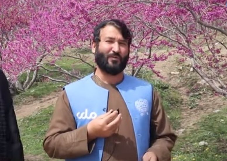 مرکز خبرنگاران افغانستان از آزادی خبرنگار تلویزیون ملی از بازداشت طالبان خبر داد