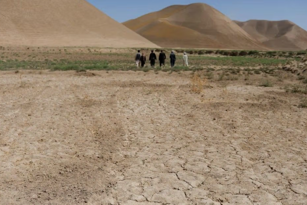 الأمم المتحدة تحذّر: فارياب تواجه أسوأ موجة جفاف منذ خمس سنوات