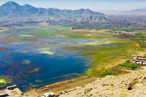 Taliban Kills Farmer For Declining To Pay Tithe (Taxes) in Kabul, Say Sources