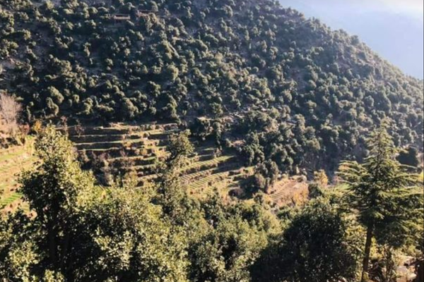 Taliban Engages in Gunfight with Pakistani Soldiers in Kunar