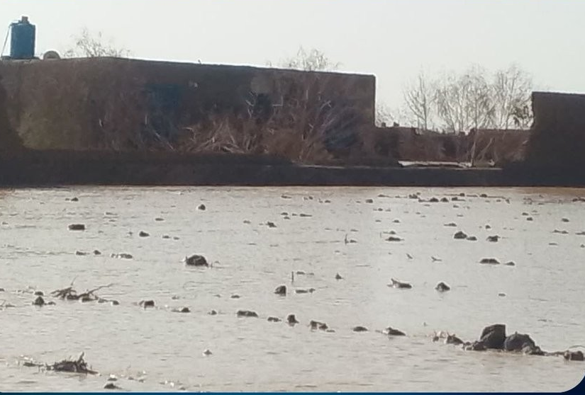 په فراه کې سېلابونو یو کس مړ او څلور نور ټپیان کړي