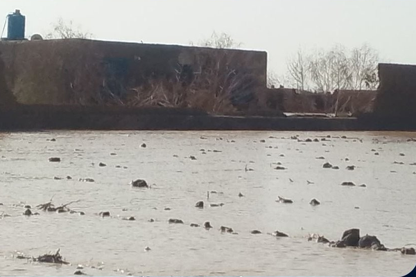 په فراه کې سېلابونو یو کس مړ او څلور نور ټپیان کړي