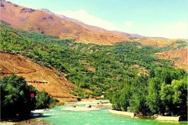 AFF Claims to Have Killed Three Taliban Members in Panjshir