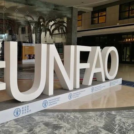 د م.م د کرنې او خوراکي توکو اداره: افغانستان کې د وچکالۍ د مخنیوي لپاره د اوبو زېرمې جوړوو