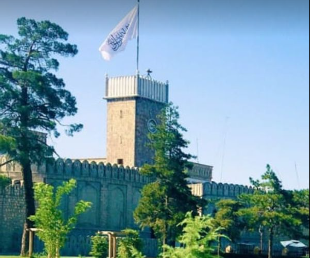 Taliban Calls on Muslims to Support “Palestinian Cause”