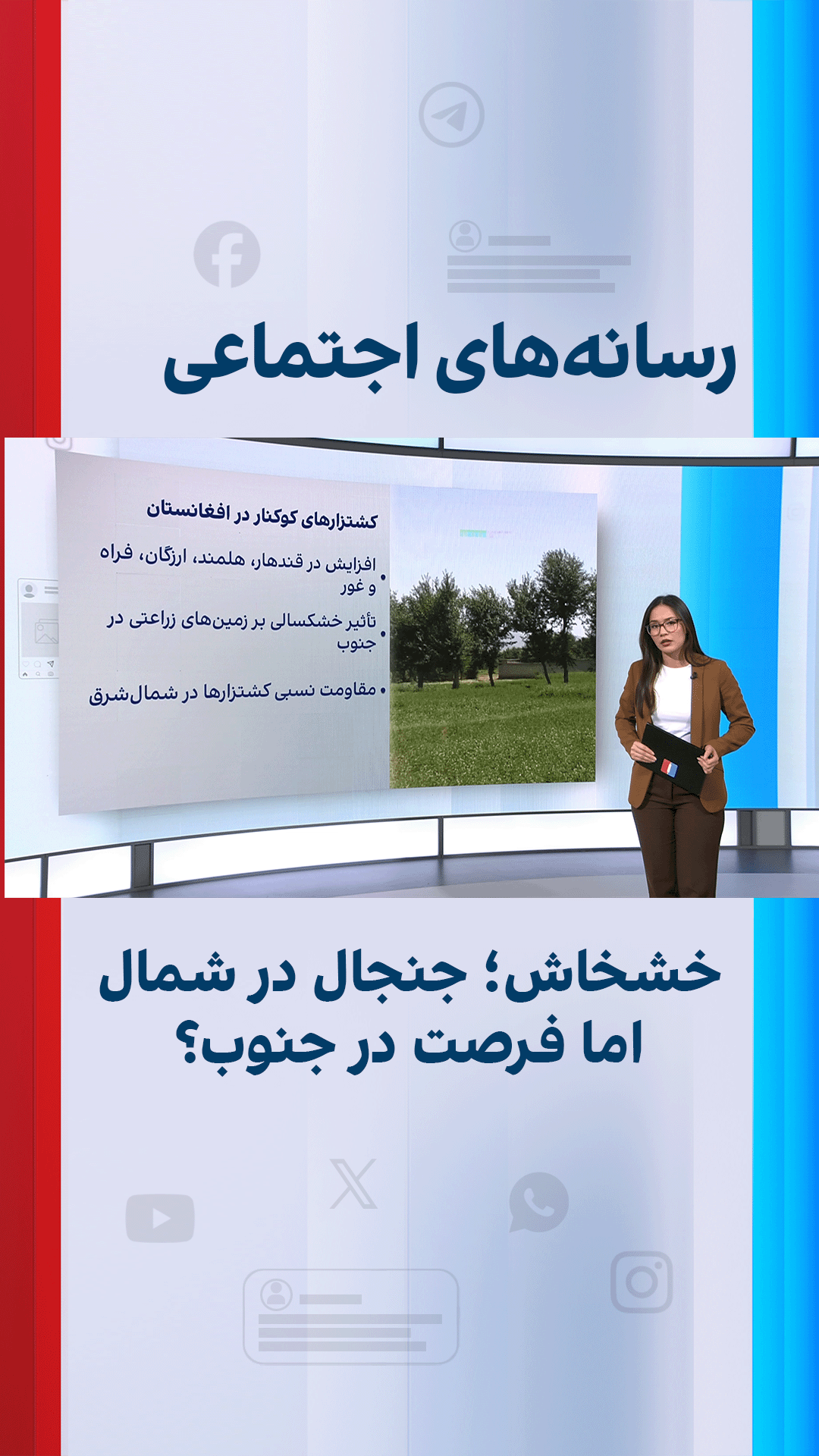 خشخاش؛ جنجال در شمال اما فرصت در جنوب؟