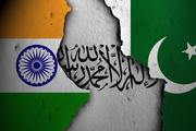 پاکستان د نویو افغان متحدینو په لټون؛ د هند پر لور د طالبانو تمایل اسلاماباد اندېښمن کړی