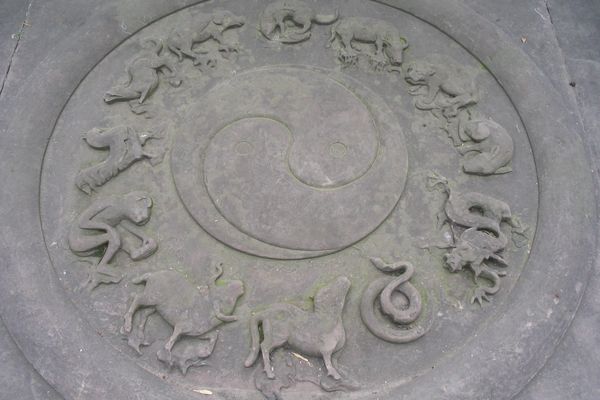 سال مار، سال خرد؛ نام جانوران بر سالها از کجا میآید و چه معنایی دارد؟