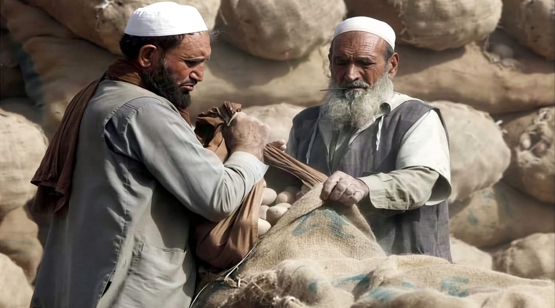 د افغان کډوالو له ستنولو سره په پاکستان کې کرنیز کړکېچ رامنځته شوی