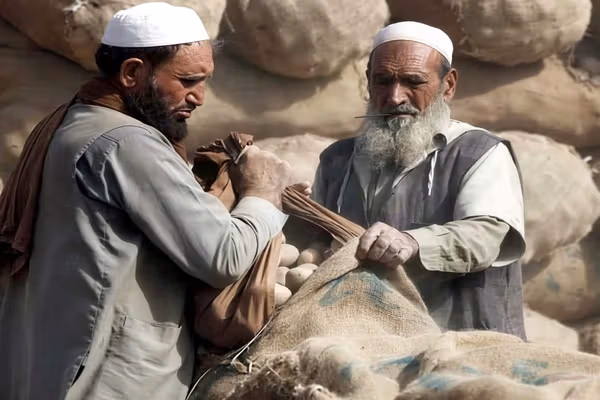 د افغان کډوالو له ستنولو سره په پاکستان کې کرنیز کړکېچ رامنځته شوی